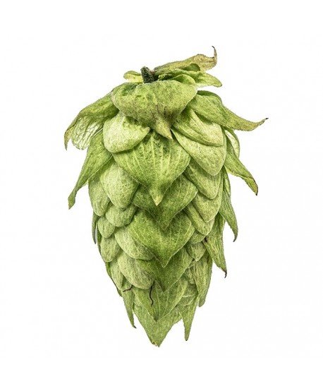 Granuliuoti apyniai alui Centennial