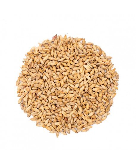 Salyklas alui Chateau Munich Light