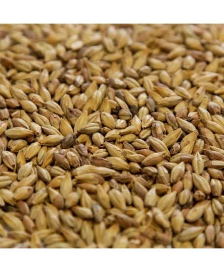 Salyklas alui Chateau Biscuit