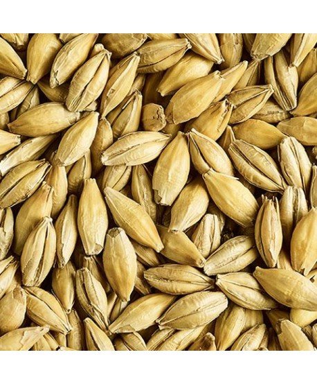 Salyklas alui Simpsons Dextrin