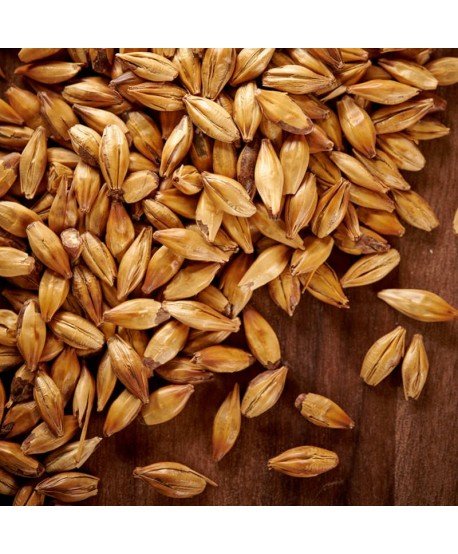 Karamelinis salyklas alui Weyermann CaraMunich Typ 1