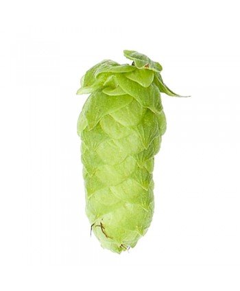 Apyniai spurgais alui Mandarina Bavaria