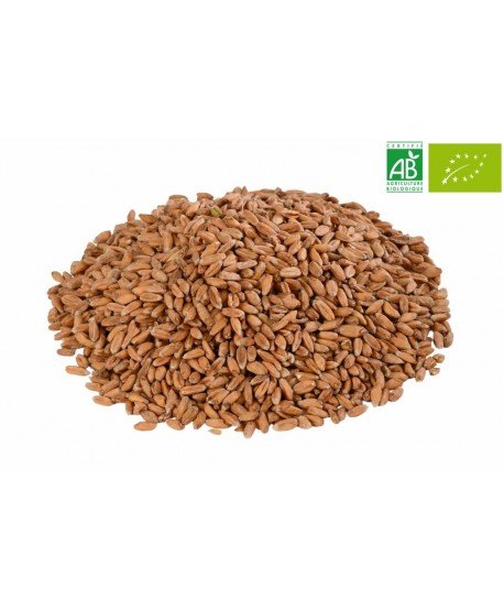 Salyklas Chateau Spelt