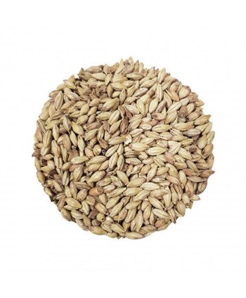 Salyklas alui Chateau Abbey