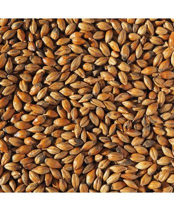 Salyklas alui Crisp Brown