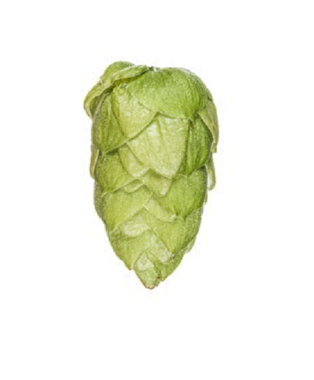 Granuliuoti apyniai Riwaka 6,8% Alpha