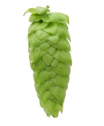 GranuliuotiGranuliuoti apyniai Vic Secret 17,8% – T90 apyniai alui apyniai alui Citra