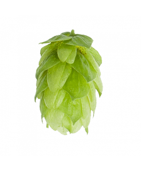 Granuliuoti apyniai alui Columbus