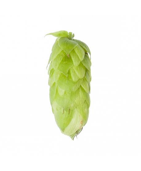 Granuliuoti apyniai alui Perle