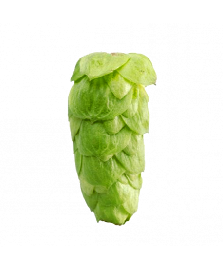 Granuliuoti apyniai alui Galaxy