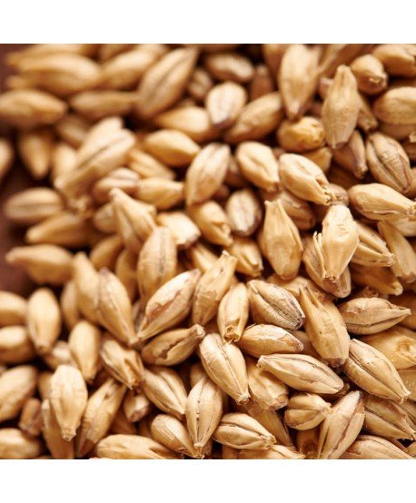 Salyklas alui Weyermann Carapils