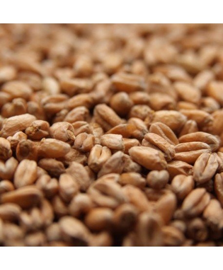 Weyermann rūkytas kvietinis salyklas alui