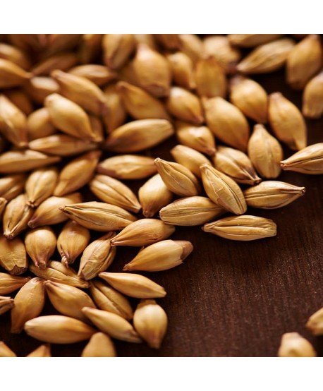 Salyklas alui Weyermann CaraRed