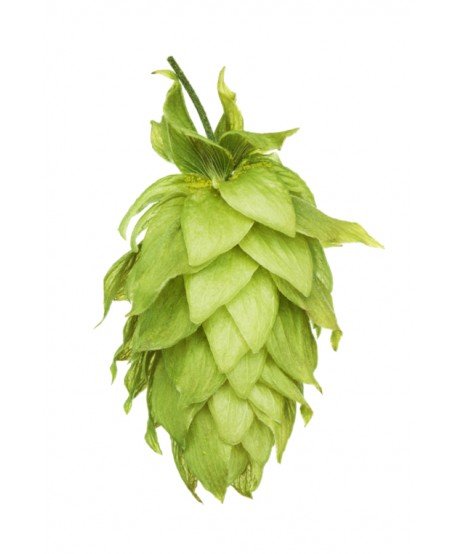 Granuliuoti apyniai alui Motueka