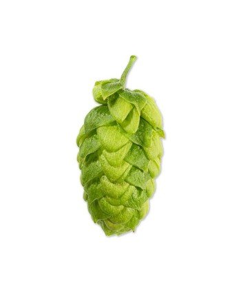 Granuliuoti apyniai Northern Brewer