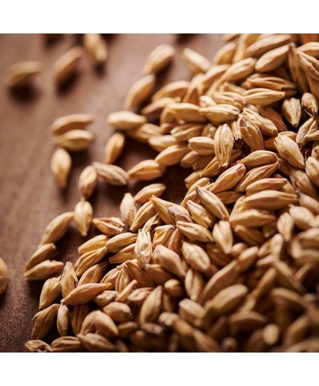 Karamelinis salyklas alui Weyermann CaraAmber